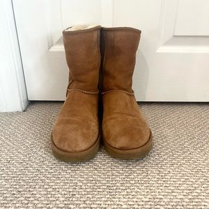 Short Chestnut Uggs
